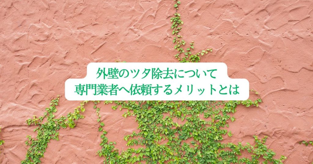 外壁のツタ除去について専門業者へ依頼するメリットとは？わかりやすく解説