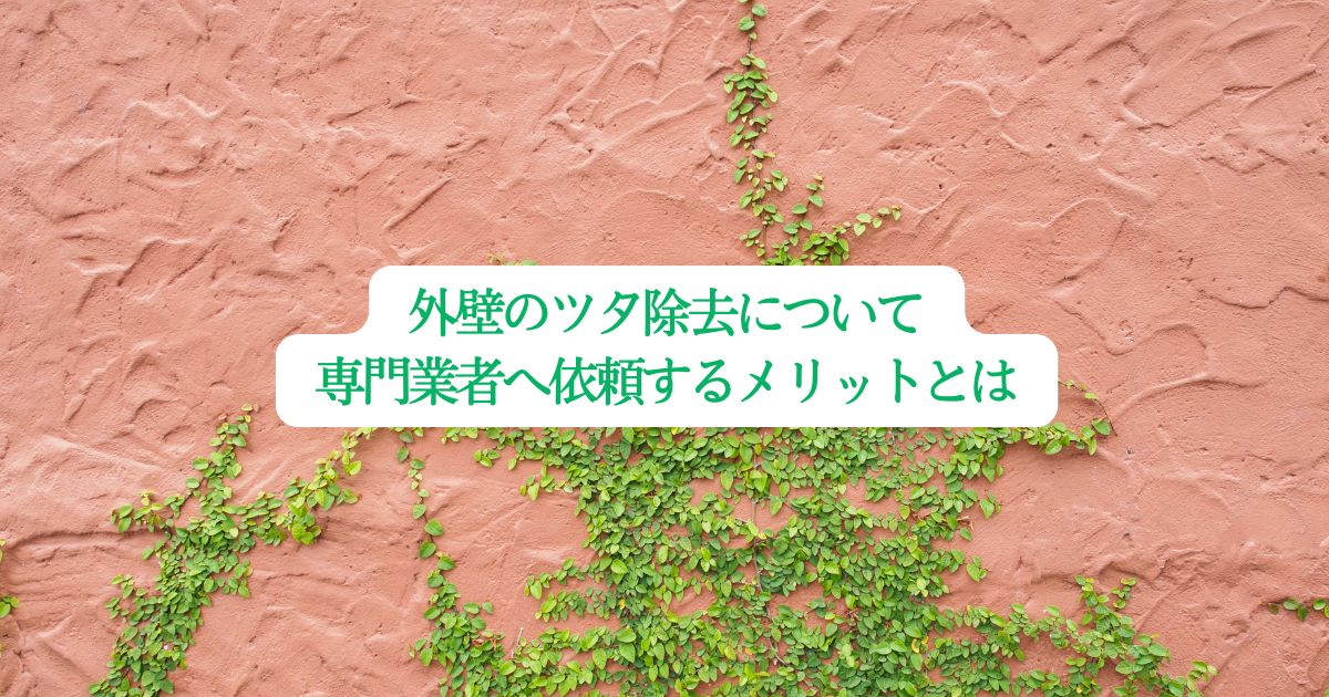 外壁のツタ除去について専門業者へ依頼するメリットとは？わかりやすく解説