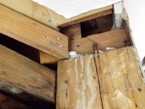 シロアリ家腐食