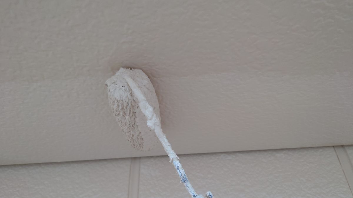 軒天塗装（中塗り）