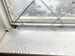 窓の結露やカビ