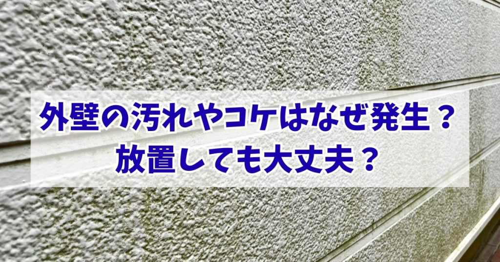 外壁の汚れ