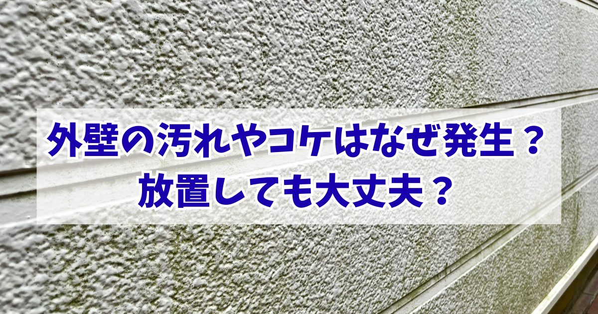 外壁の汚れ